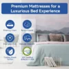 Dyonery 8/10 Inch Extra Firm Memory Foam Mattress , Premier Cooling Green Tea/Gel Bed-Mattress In Box, Deep Sleep Firm Mattresses -Comforters Store GUEST 383db148 476e 45f8 a259 e7650440d5c3