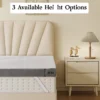 Dyonery 3" Twin XL Size Extra Firm Mattress Topper,High-Density Foam Mattress Pad With Removable Cover,No Smell,for Back Pain Relieving, 80'' X 60" 2 Dyonery 3" Twin XL Size Extra Firm Mattress Topper,High-Density Foam Mattress Pad With Removable Cover,No Smell,for Back Pain Relieving, 80'' X 60" -Comforters Store GUEST 3a0e156f 9ff2 45d7 b4c7 b72103c9c91d 1