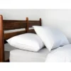 2 Pack Soft White Duck Feather & Down Bed Pillow | BOKSER HOME -Comforters Store GUEST 70fd941b b259 481e a6d9 98b853111eee