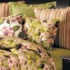 C&F Home Juliette Standard Sham -Comforters Store GUEST 7f2f2369 f6a3 43dc b4f7 c38c86a2b5c3