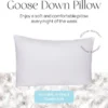 East Coast Bedding Down Pillow - White Goose Down & Feather (Standard) -Comforters Store GUEST cf7df163 ada4 4579 8672 2b54a418b5d6
